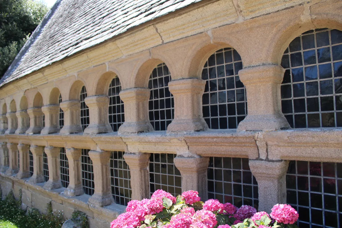 Photo 41